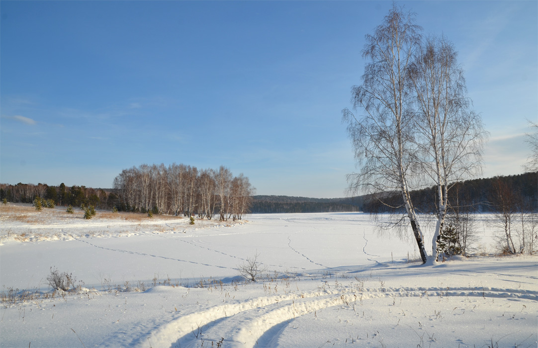 ����� ���� ������ ����