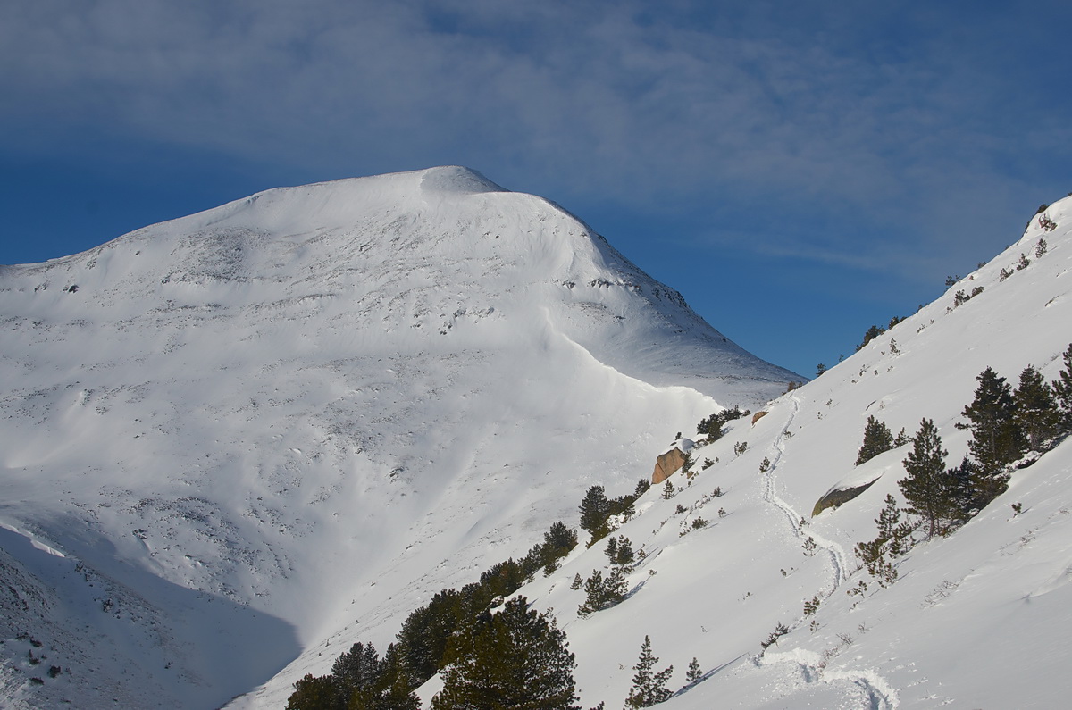 �������������� �����