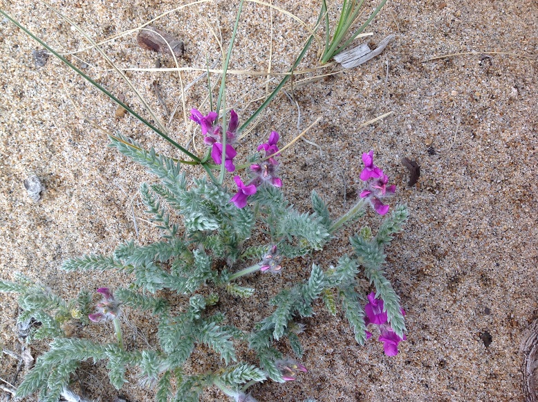 �������������