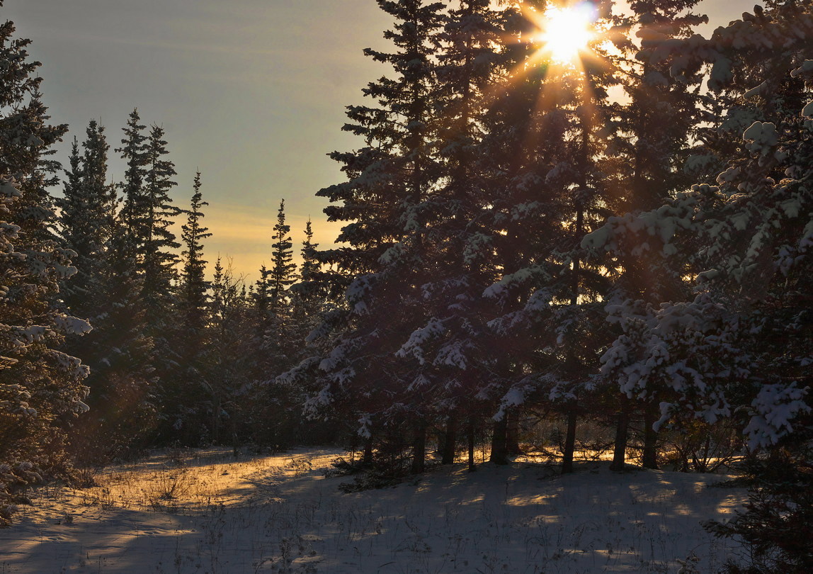 �������� �����