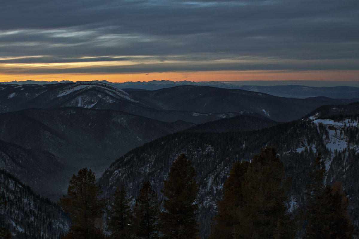 ����������...