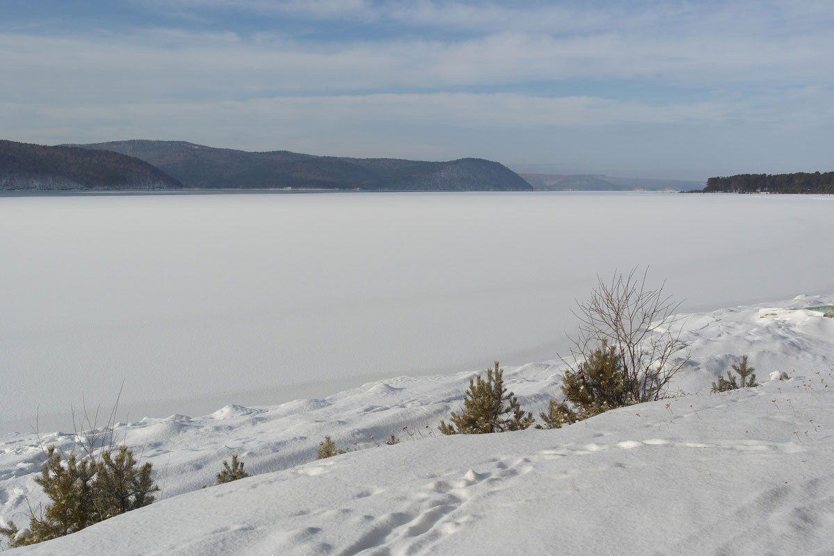 ������� ������� �� ������