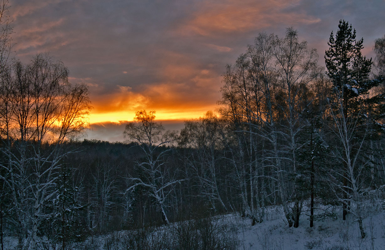 �� ������