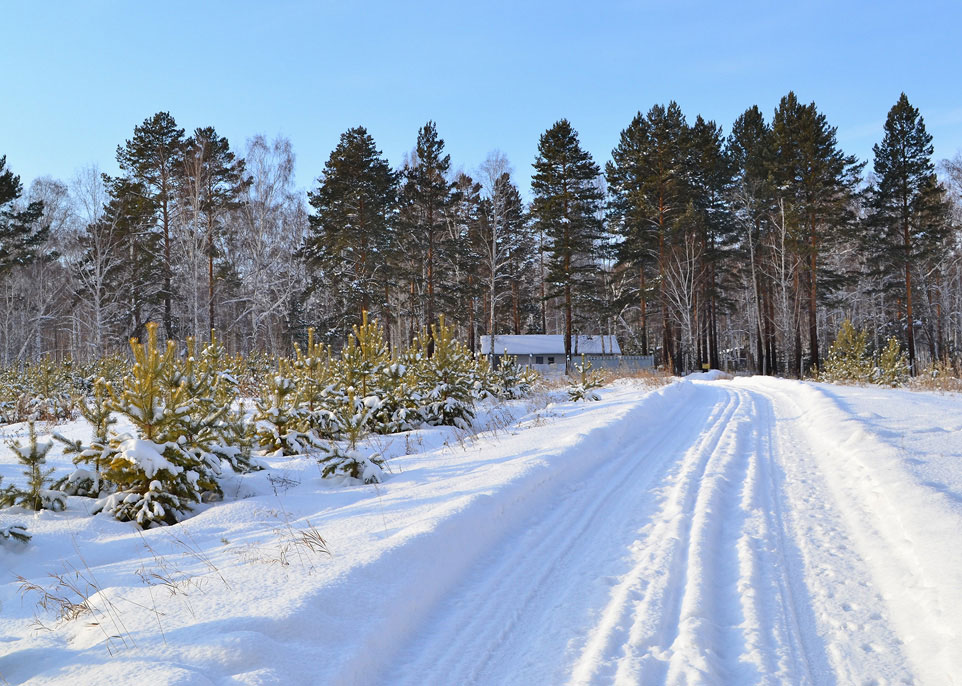 ����� ������� ������