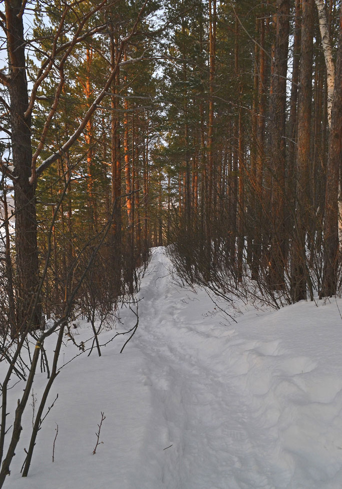 ������ ��������