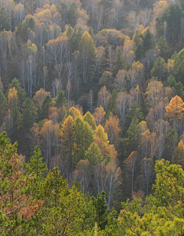 ������...