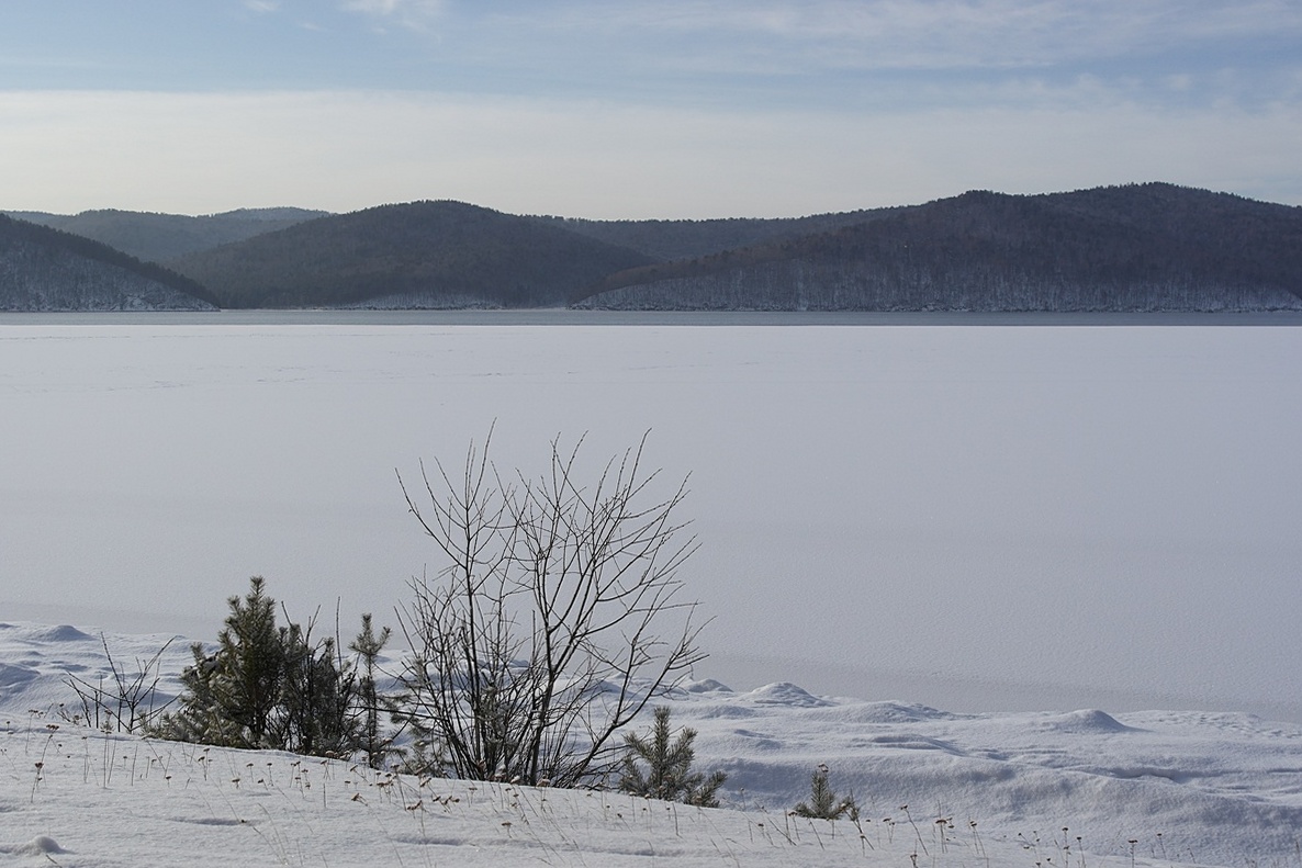 "������ �����"