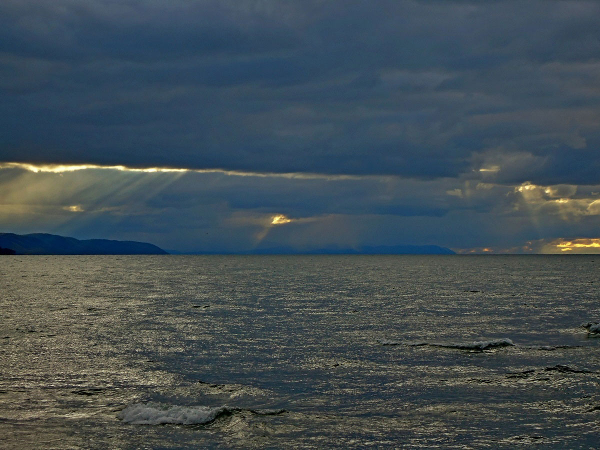 �������� ���������....