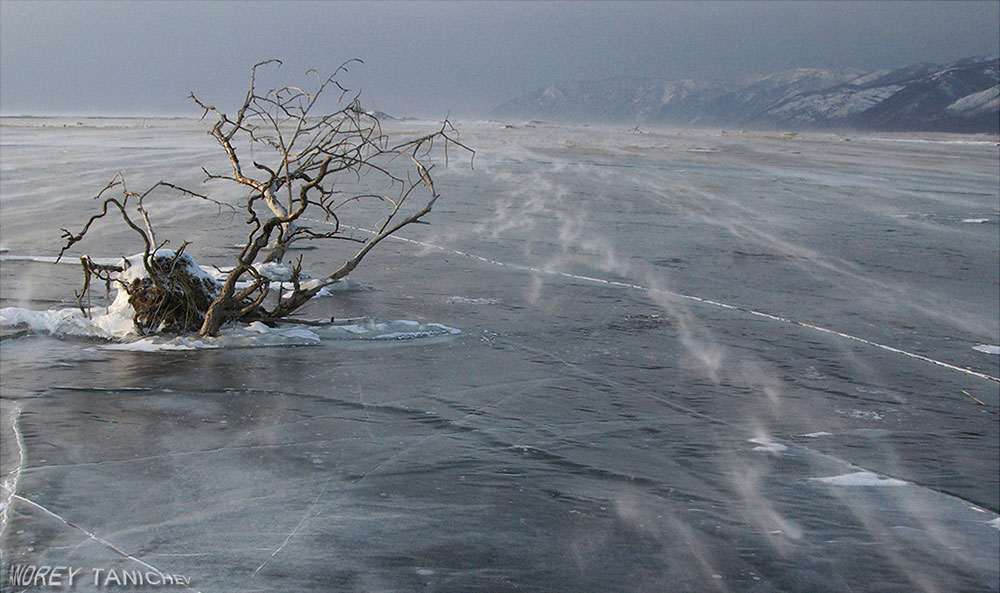 ���������� � ������������ ���