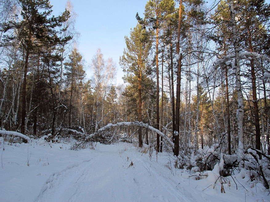 ������ ���...