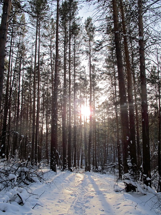 ������ ���...