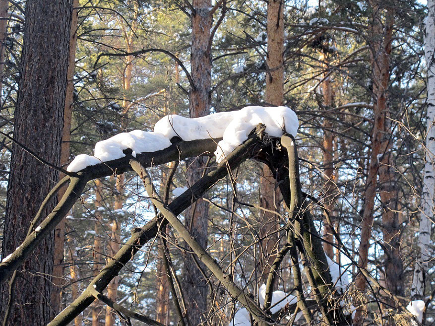 ��������...