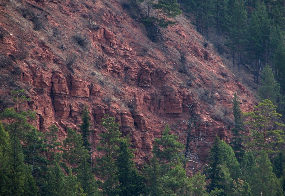 ����� ������