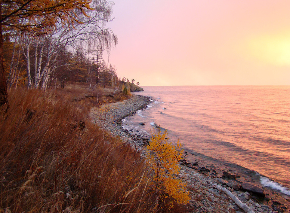 ������. �����. ����. ������.