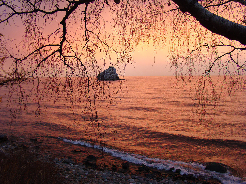 ������. �����. ����. ������-2