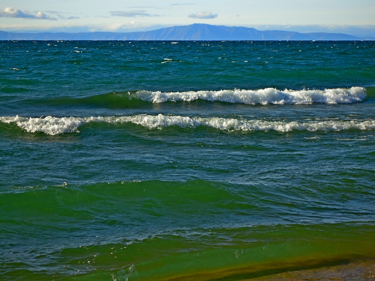 ��������....