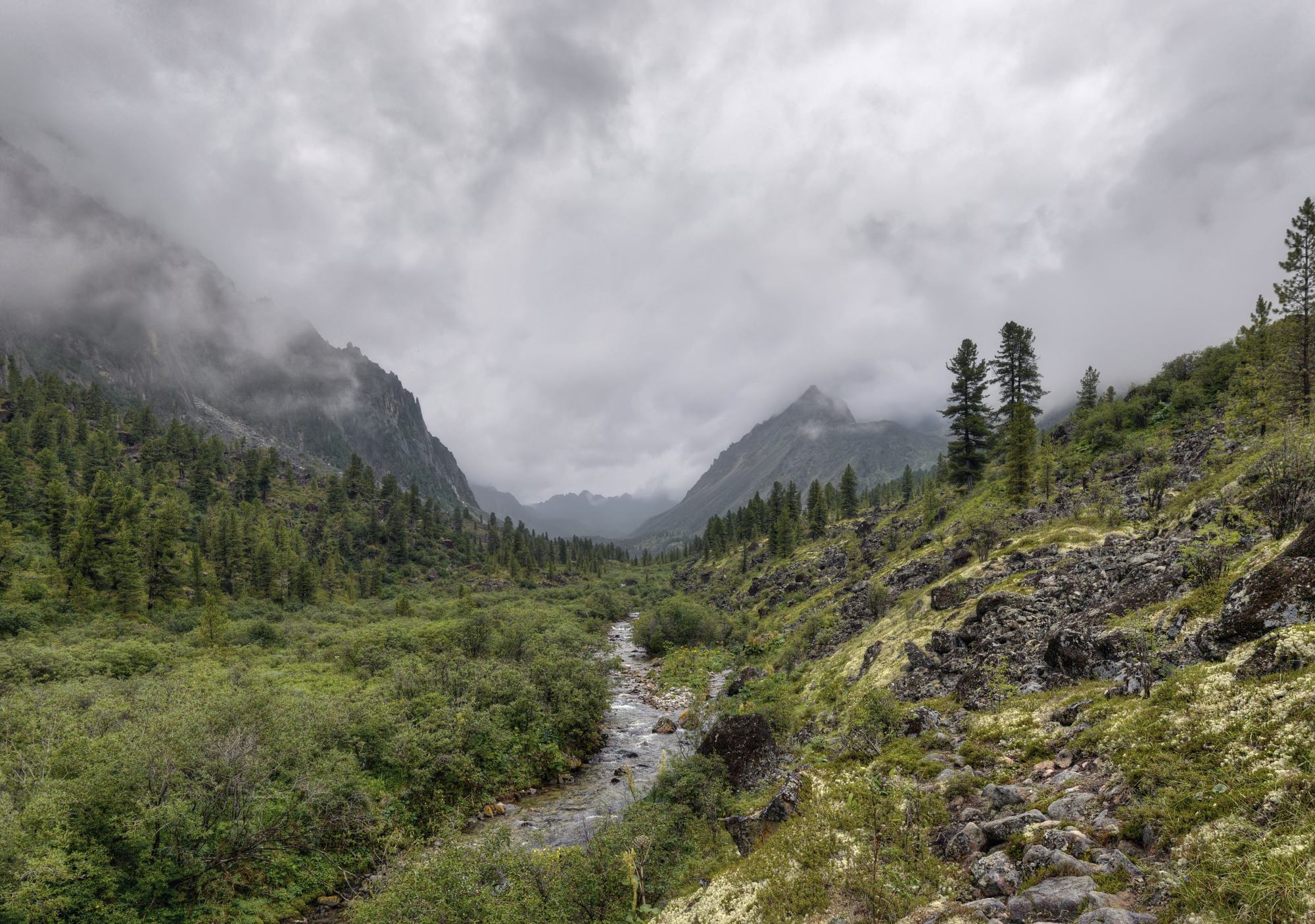 ������ ���-��������