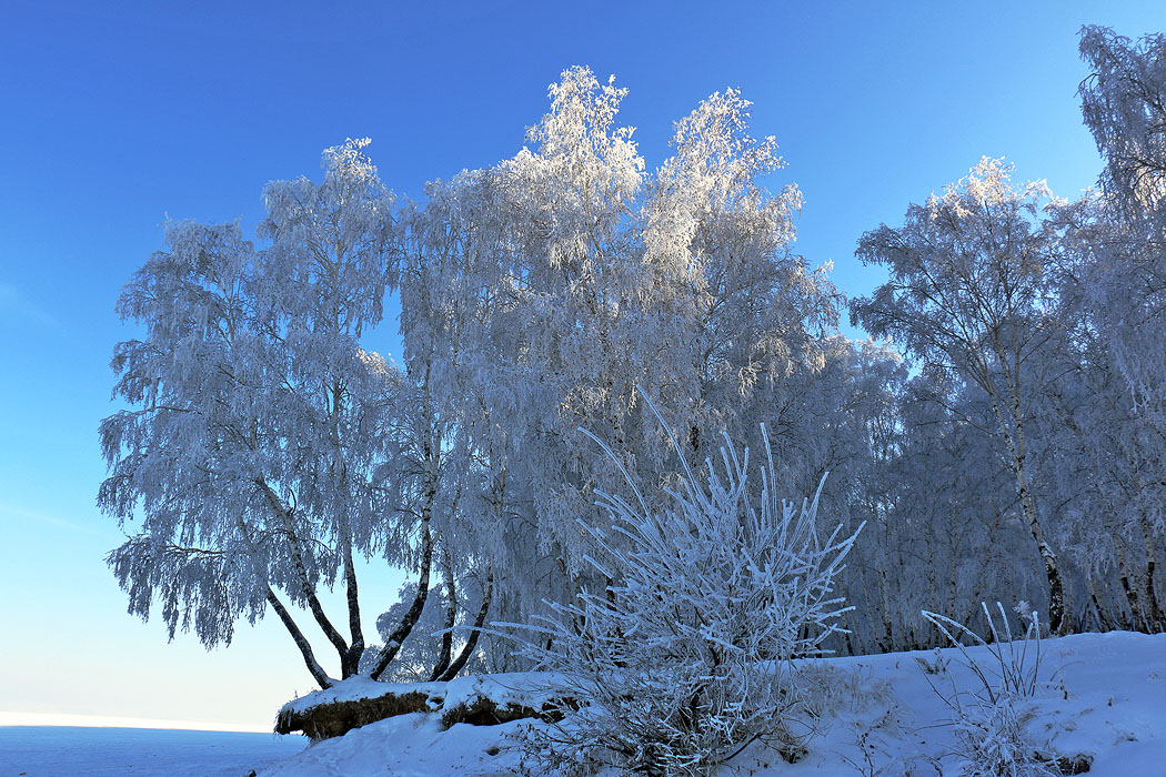 "��������� ����" :)