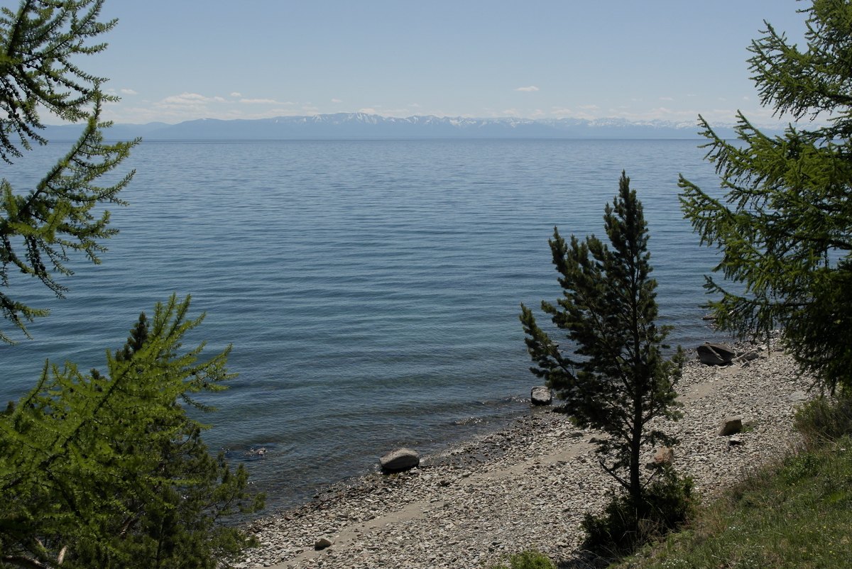 ������� ����������.  