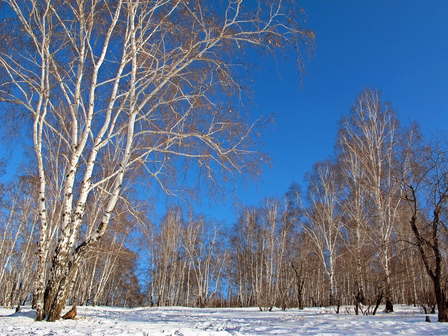 �������� ���...