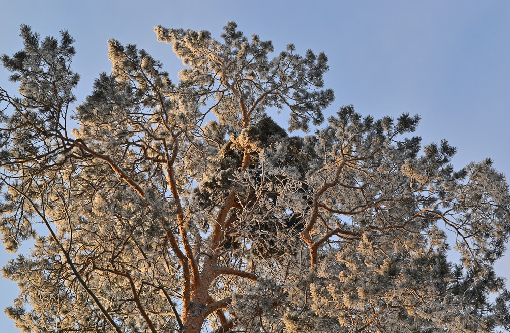 �������� �����?