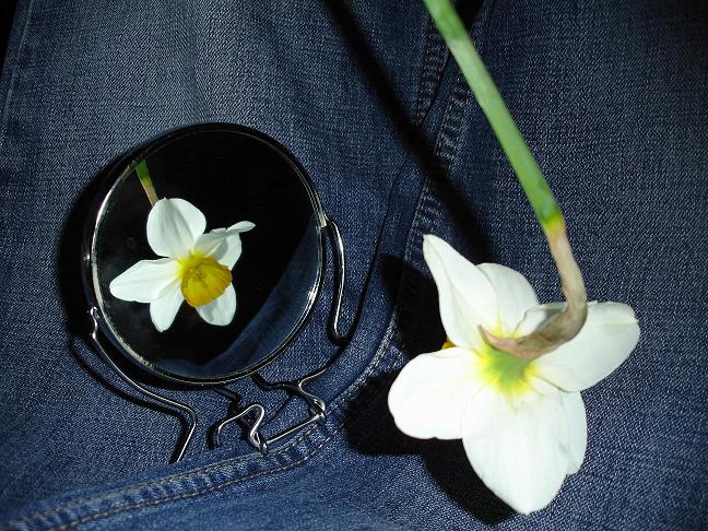 ���������� �������