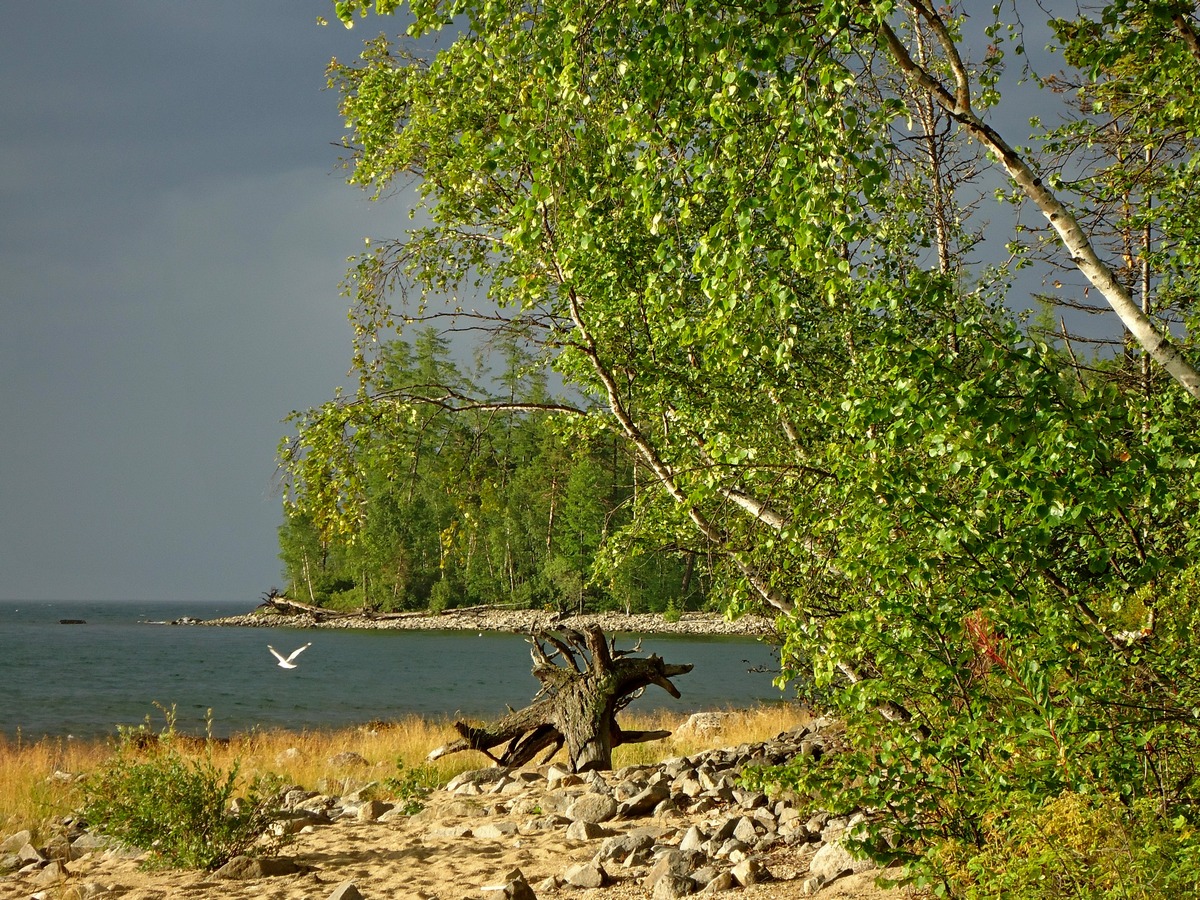 ��� �����...