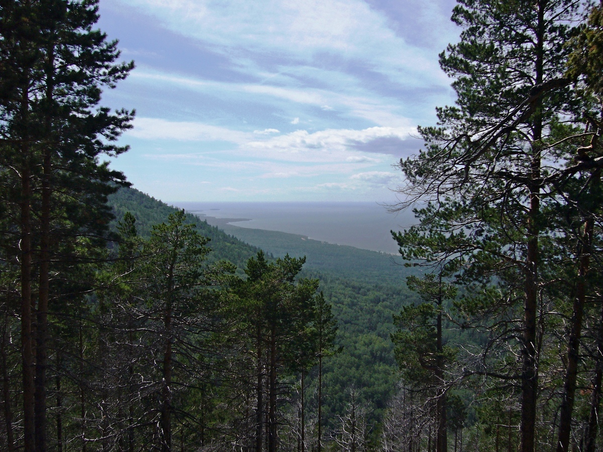 ������ � ���������� �������