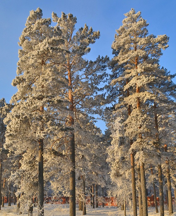 �������� �� ������