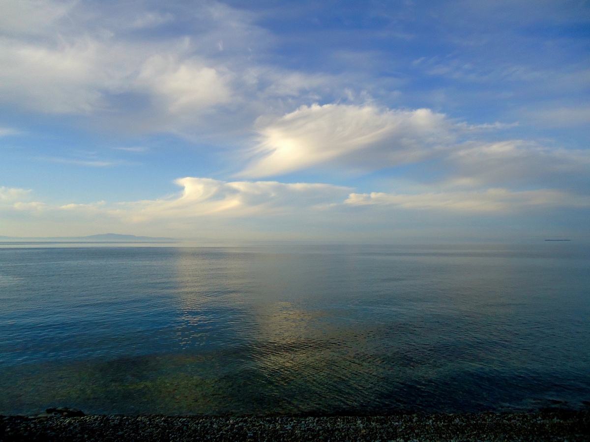 �������.....