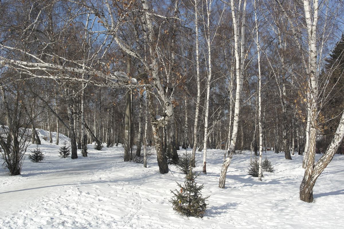 �������� ��� �� ������ ��������� ����