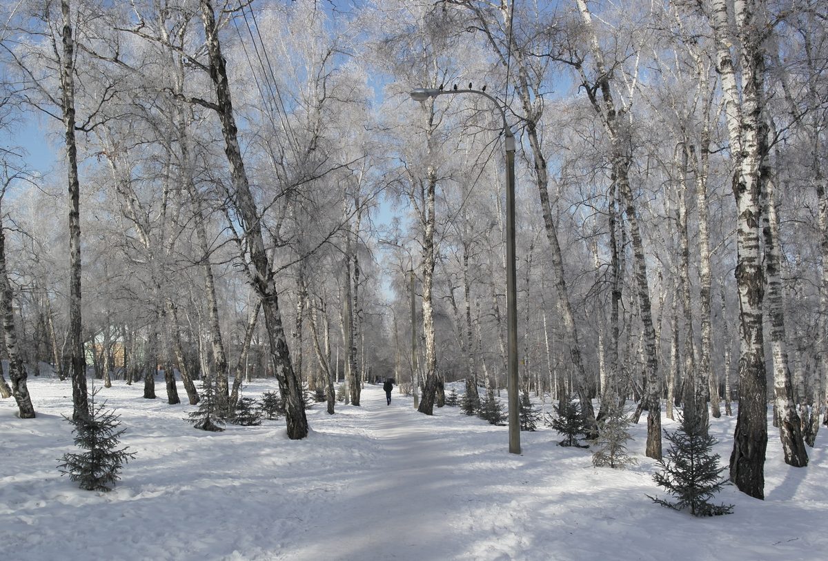 �������� ��������� ����, 2. ��� ���������� �������-����������.