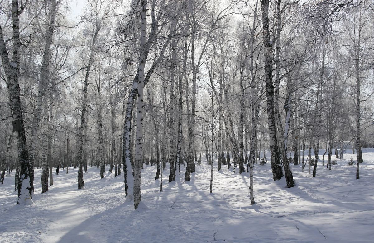 �������� ����, 3. � "����������" ����.