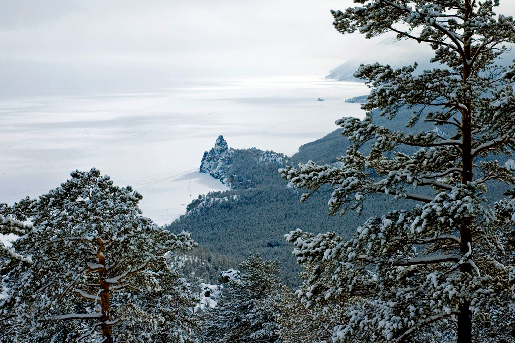 ������� ����