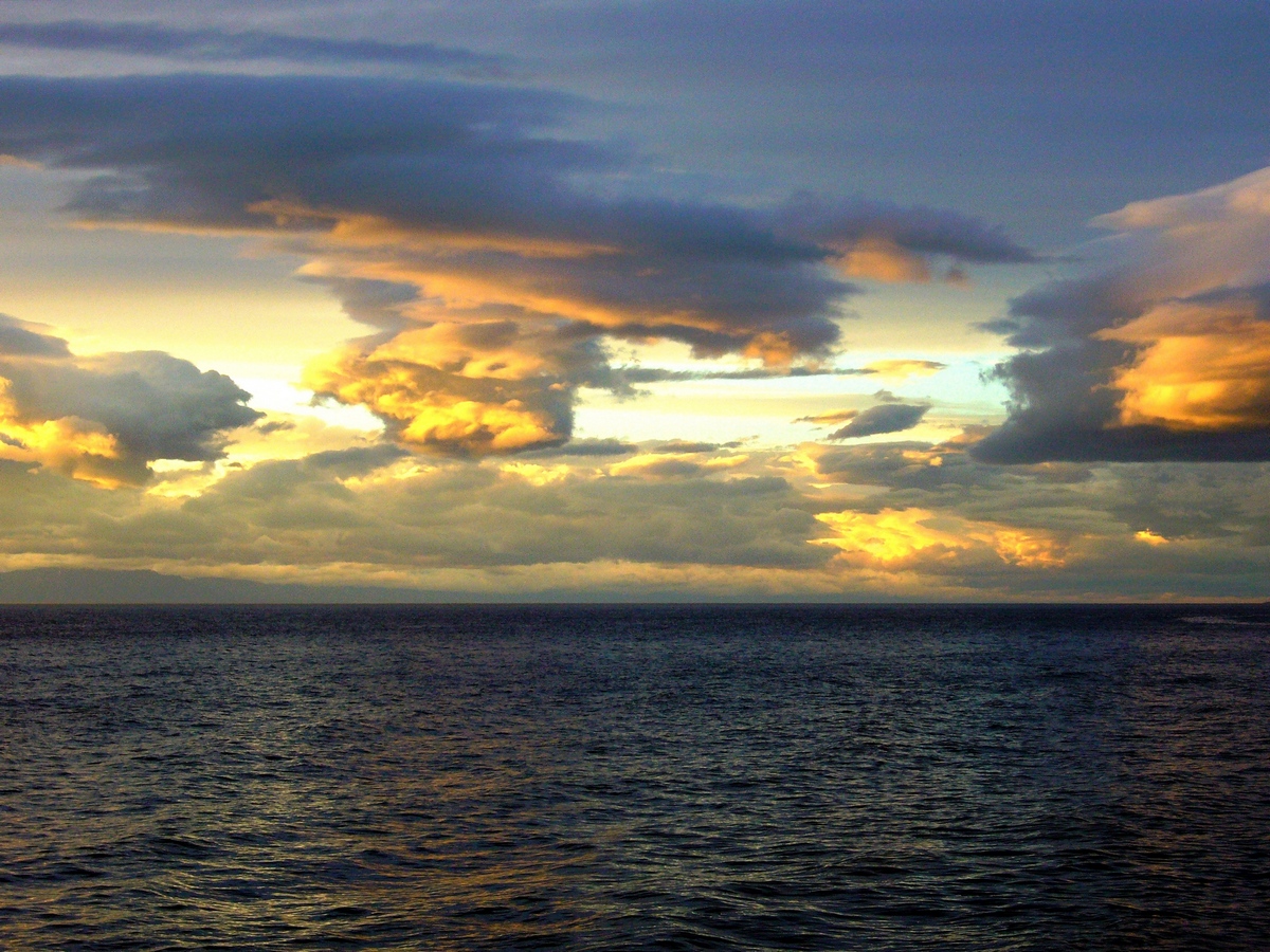 �����.....