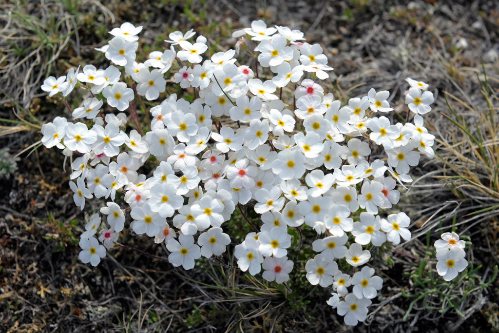 � ���������� 8-�����!