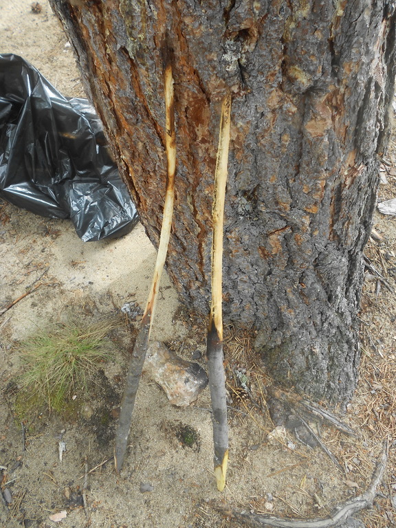 ������ �������5