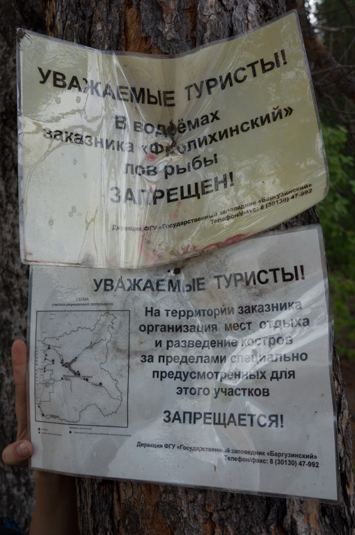 ������� ����� ���� ��������