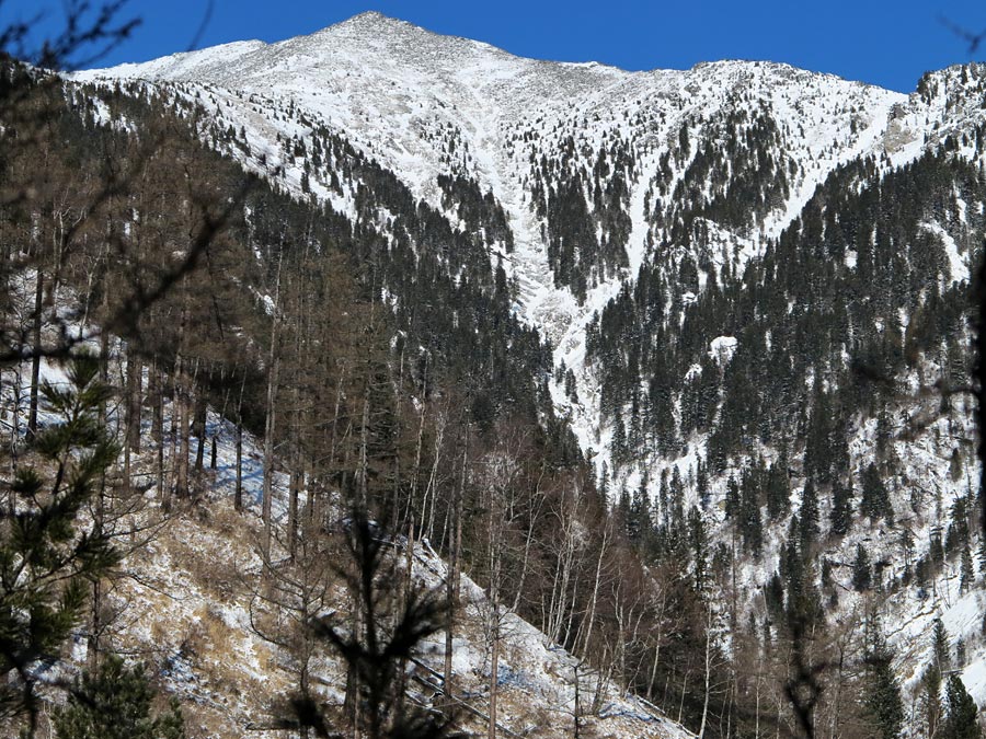 ������� � ���� �����