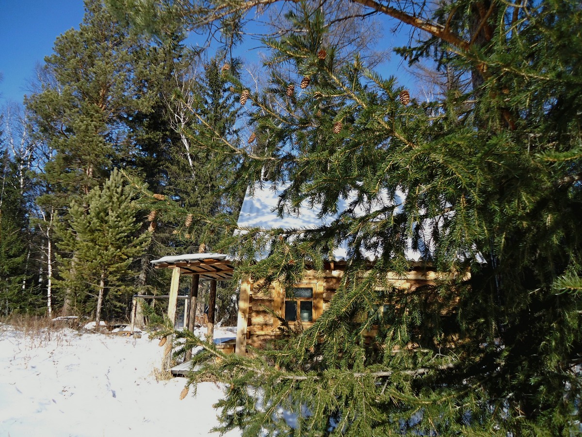 ������ ������