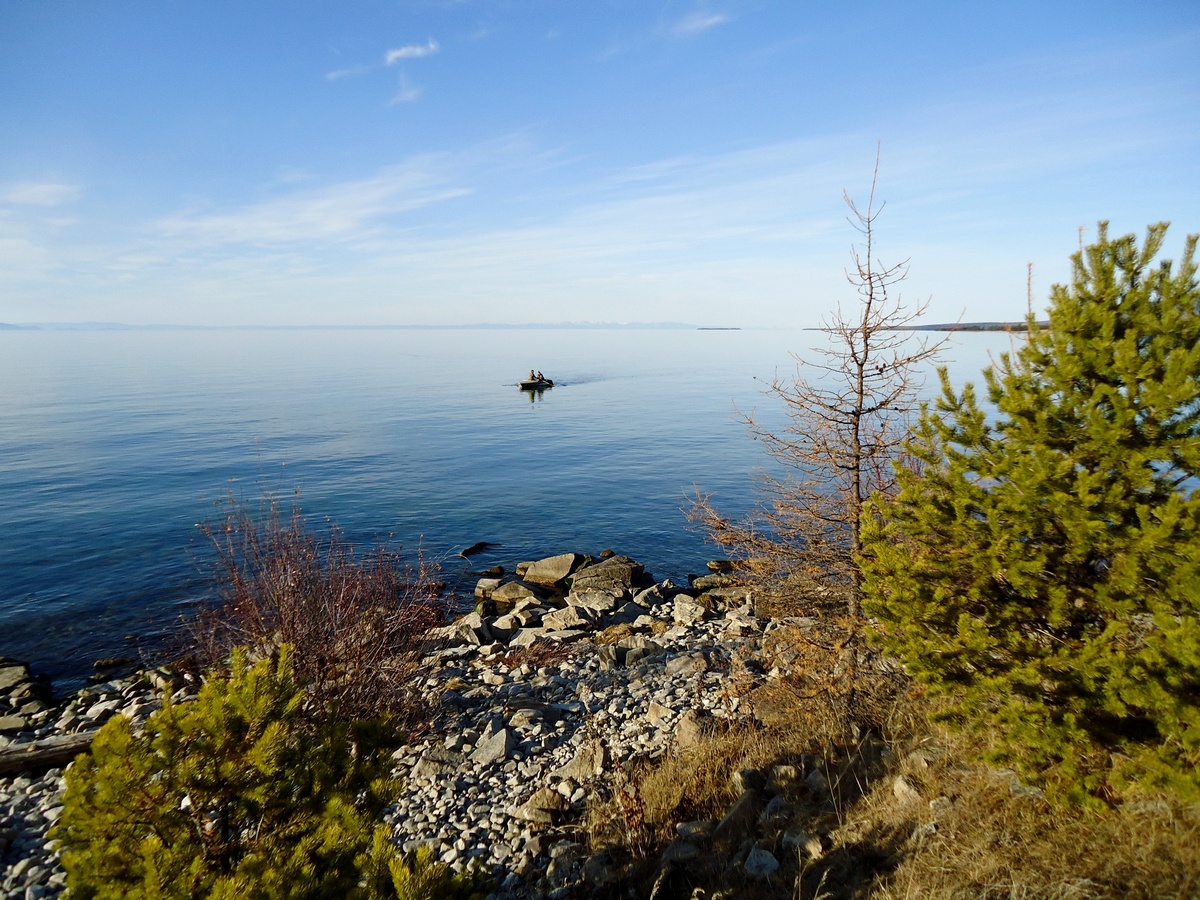 �����������. �����....