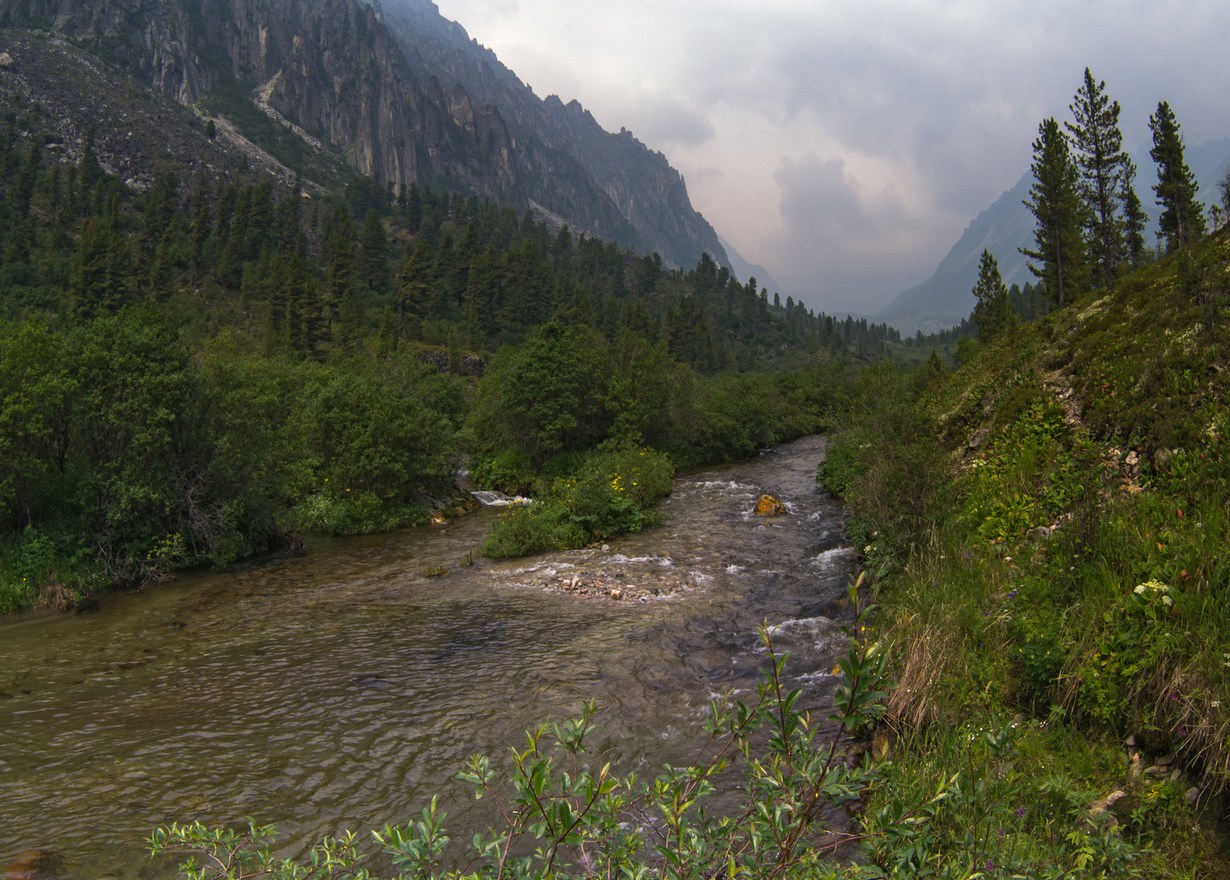 ��� ����� ���������