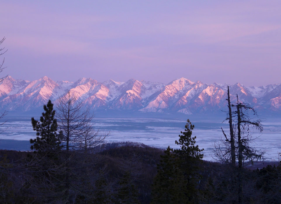 ������ ��� ���������� �������