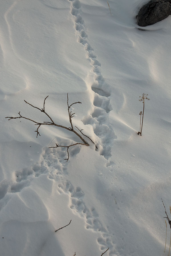 ����� ������ � ��������� ���������