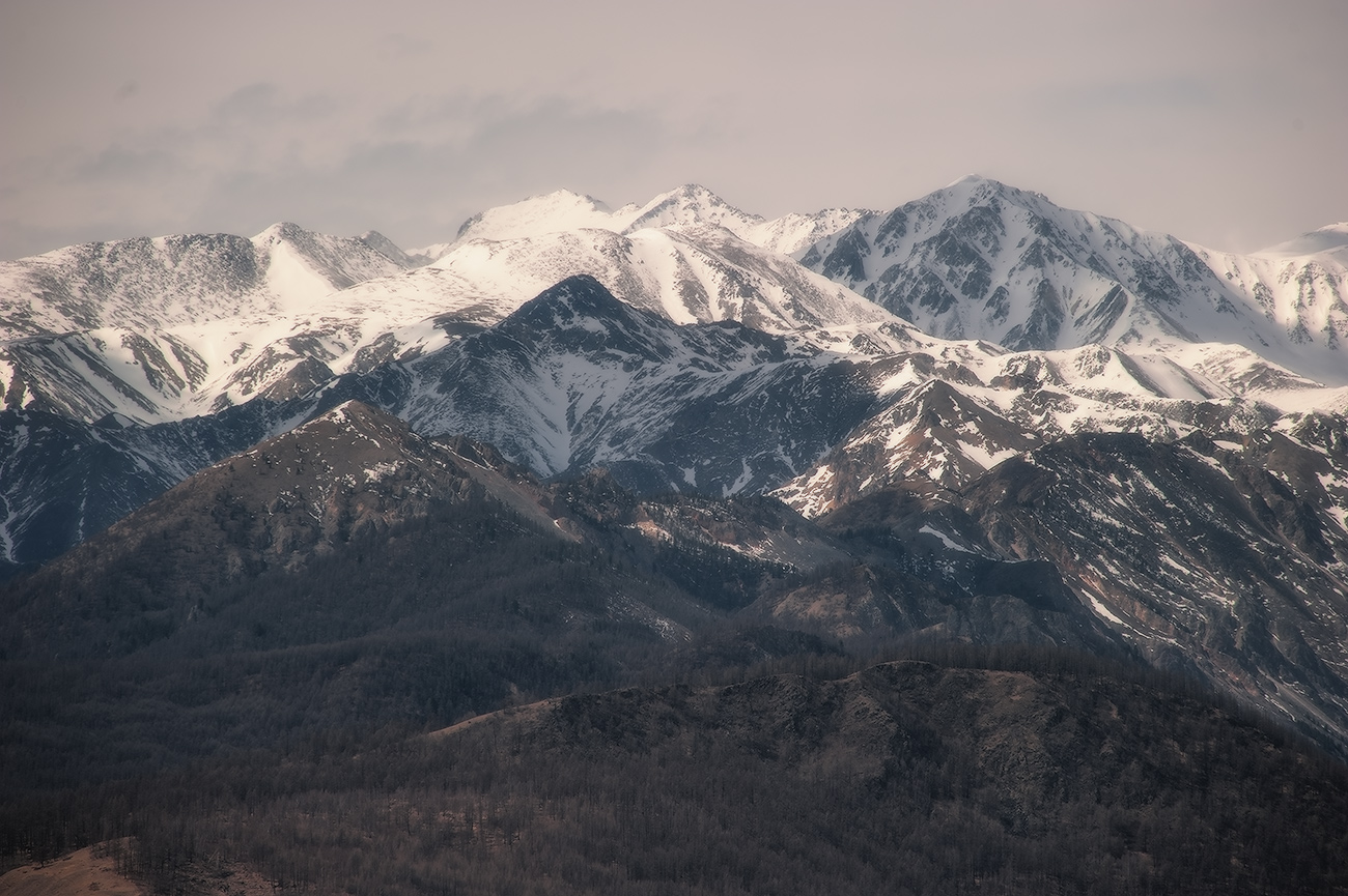 �����-������