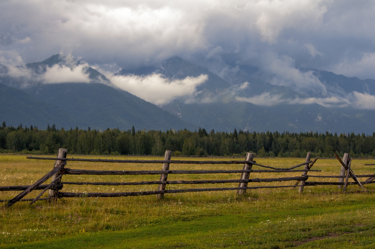 ������ ��������