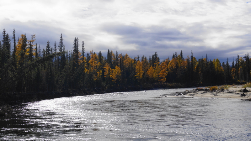 ... ����� ������� ...