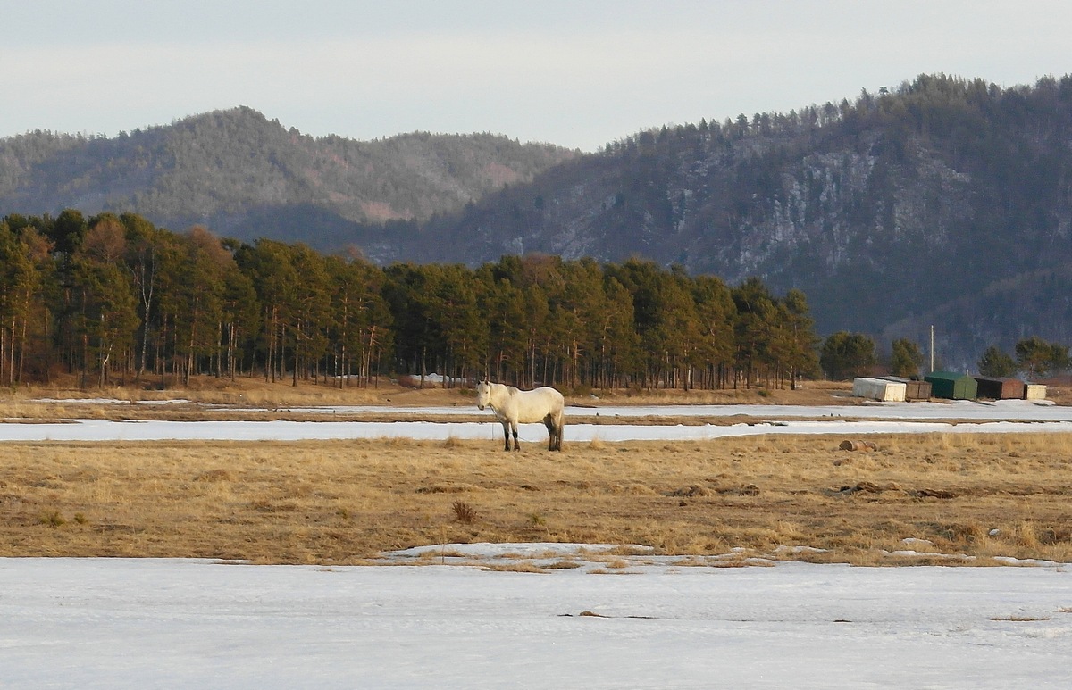 �������� �������