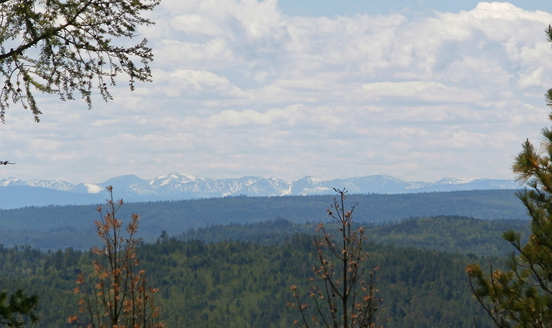 ��� �� �����-�����