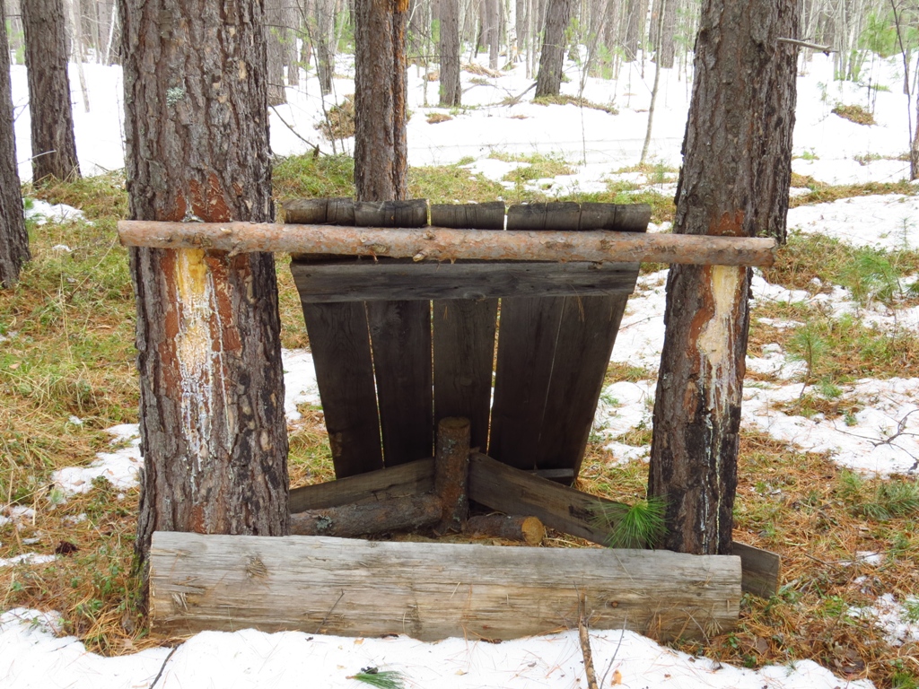 ��� �� ������� ?